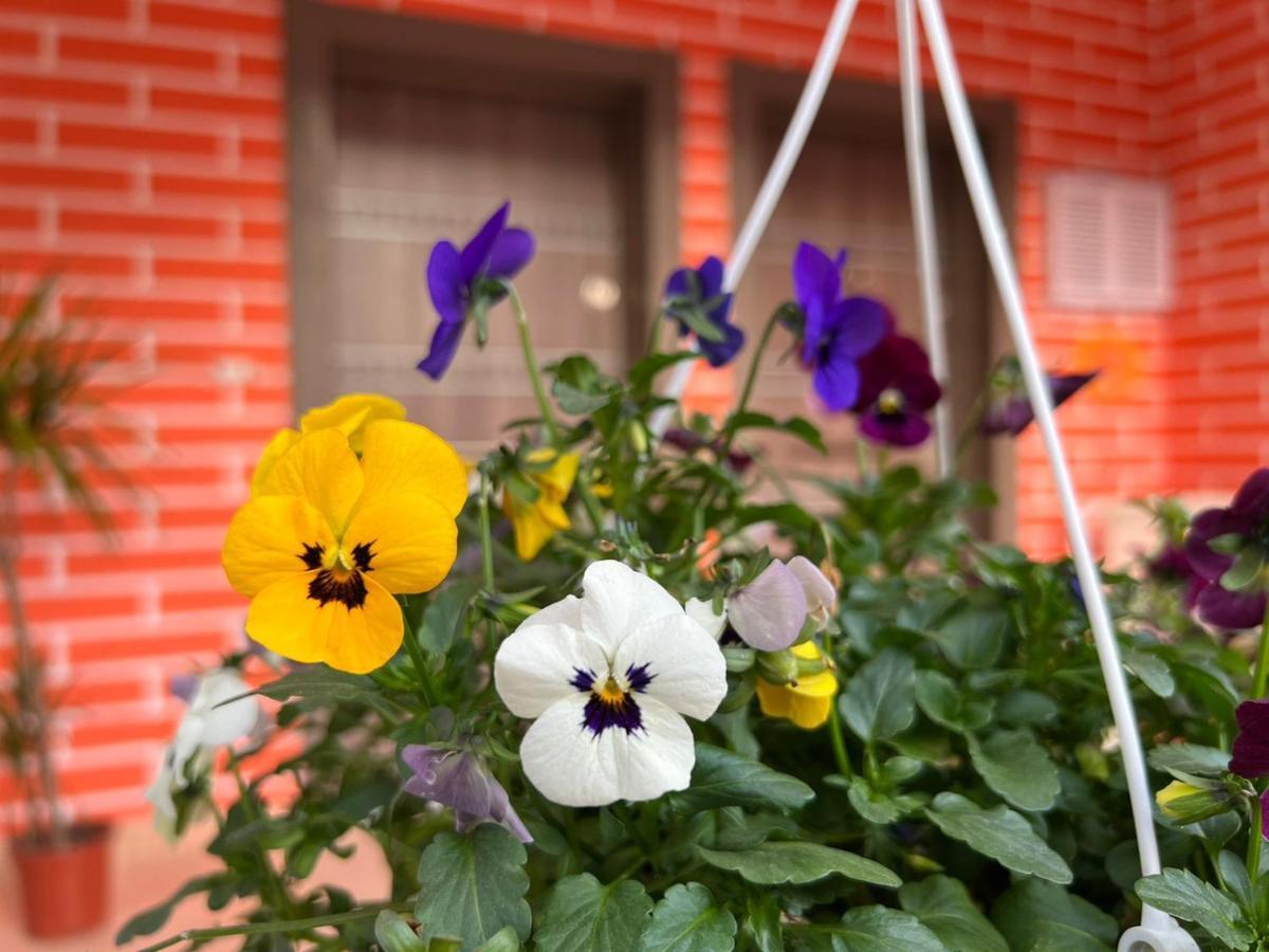 Chestnut Yard Villa 티라나 외부 사진